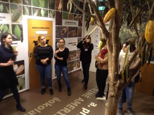 Guided tour in chocolate museum